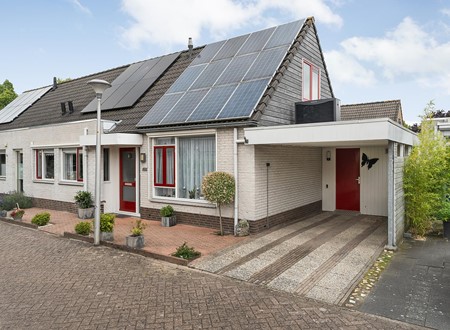 ZWOLLE, Citroenvlinder 11