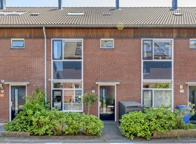 ZWOLLE, Rietgras 43